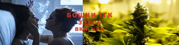 МДПВ Нея