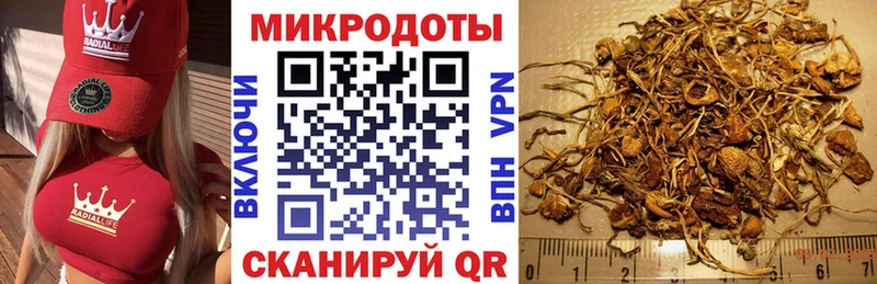 Псилоцибиновые грибы MAGIC MUSHROOMS  Осинники 