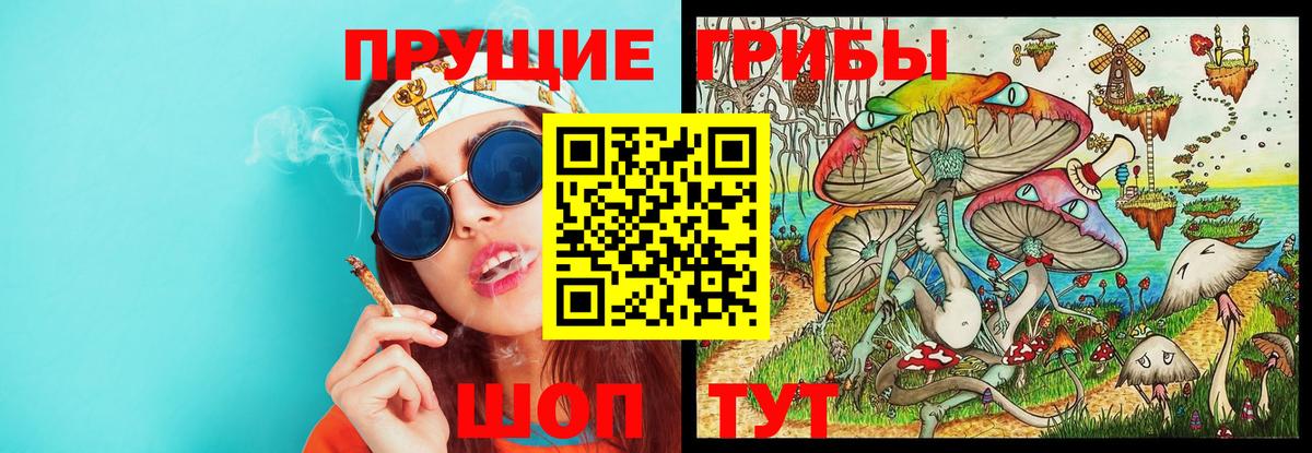 Галлюциногенные грибы Psilocybe Осинники
