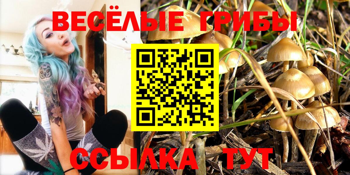 Осинники  Псилоцибиновые грибы прущие грибы  Вход с VPN 
